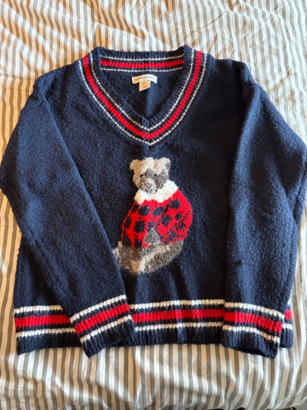 Teddy bear sweater